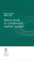 Many-Body Physics in Condensed Matter Systems. Lecture Notes (Scuola Normale Superiore)