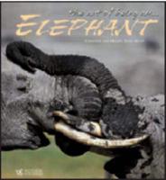 The Art of Being Elephants