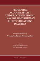 Promoting Accountability Under International Law for Gross Human Rights Violations in Africa