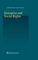 Enterprise and Social Rights