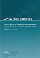 Leadership in an Enlarged European Union