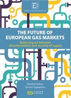 The Future of European Gas Markets