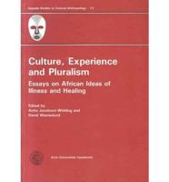 Culture, Experience and Pluralism