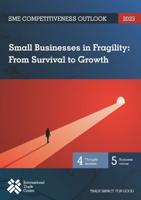 SME Competitiveness Outlook 2023