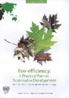 Eco-Efficiency