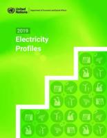 2019 Electricity Profiles