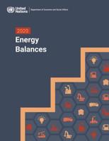 2020 Energy Balances