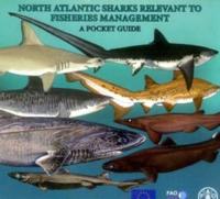 North Atlantic Sharks Relevant to Fisheries Management