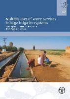 Multiple Uses Of Water Services In Large Irrigation Systems Auditing And Planning Modernization The Massmus Approach