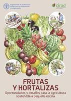 Frutas Y Hortalizas