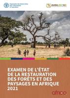 Examen De L'état De La Restauration Des Forêts Et Des Paysages En Afrique 2021