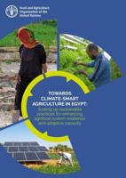 Towards Climate-Smart Agriculture in Egypt