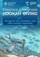 A Practical Guide on Safe Hookah Diving