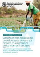 Directrices Para El Cálculo Del Uso Eficiente De Los Recursos Hídricos En La Agricultura En Los Informes Mundiales