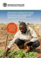Cómo Utilizar El Enfoque De Las Escuelas De Campo Para Agricultores Para Apoyar Las Transiciones Agroecológicas En La Agricultura Familiar Del Sur?