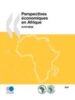 Perspectives économiques en Afrique 2009 : Synthèse