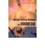 Energy Policy Review of Indonesia