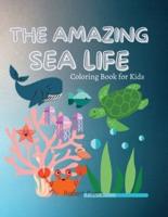 The Amazing Sea Life