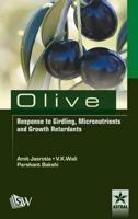 Olive Response to Girding,  Micronutrients and Growth Retardants