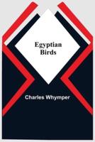 Egyptian Birds