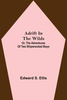 Adrift in the Wilds; Or, The Adventures of Two Shipwrecked Boys