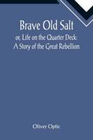 Brave Old Salt; or, Life on the Quarter Deck: A Story of the Great Rebellion