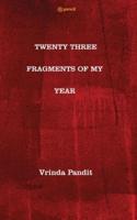 Twenty Three Fragments of My Year