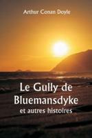 Le Gully De Bluemansdyke Et Autres Histoires