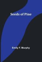 Seeds of Pine