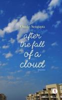 After the Fall of a Cloud : poems