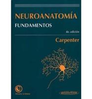 Neuroanatomia Fundamentos