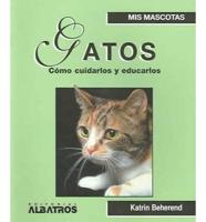 Gatos/cats