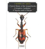 A Natural History of the Ground-Beetles Coleoptera