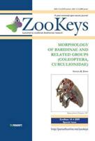 Morphology of Baridinae & Related Groups Coleoptera, Curculionidae