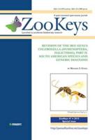 Revision of the Bee Genus Chlerogella Hymenoptera, Halictidae