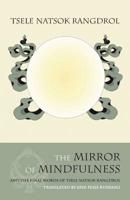 The Mirror of Mindfulness