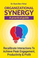 Organizational Synergy - A Practical Guide