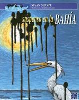 Suspenso En La Bahia