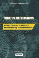 What is Mathematics: School Guide to Conceptual Understanding of Mathematics