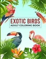 Exotic Birds Adult Coloring Book