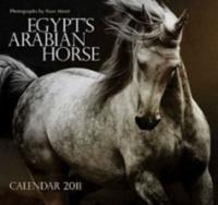 EGYPT'S ARABIAN HORSE: WALL CALENDAR 2011