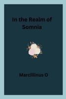 In the Realm of Somnia