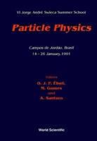 Particle Physics - Vi Jorge Andre Swieca Summer School