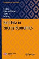 Big Data in Energy Economics