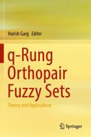 Q-Rung Orthopair Fuzzy Sets