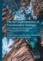 Effective Implementation of Transformation Strategies : How to Navigate the Strategy and Change Interface Successfully