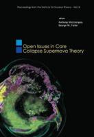Open Issues in Core Collapse Supernova Theory