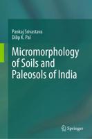 Micromorphology of Soils and Paleosols of India