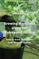 Growing Marijuana Using the Hydroponic System