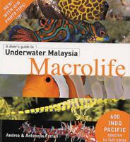 Divers Guide to Underwater Malaysia Macrolife